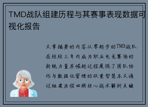 TMD战队组建历程与其赛事表现数据可视化报告